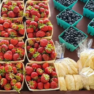 Fresh produce in season, bakery goods, greenhouse plants, and holiday décor are also part of the experience.