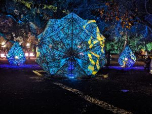 Descanso Gardens’ Enchanted Forest Of Light displays artful creations along a mile-long walk.