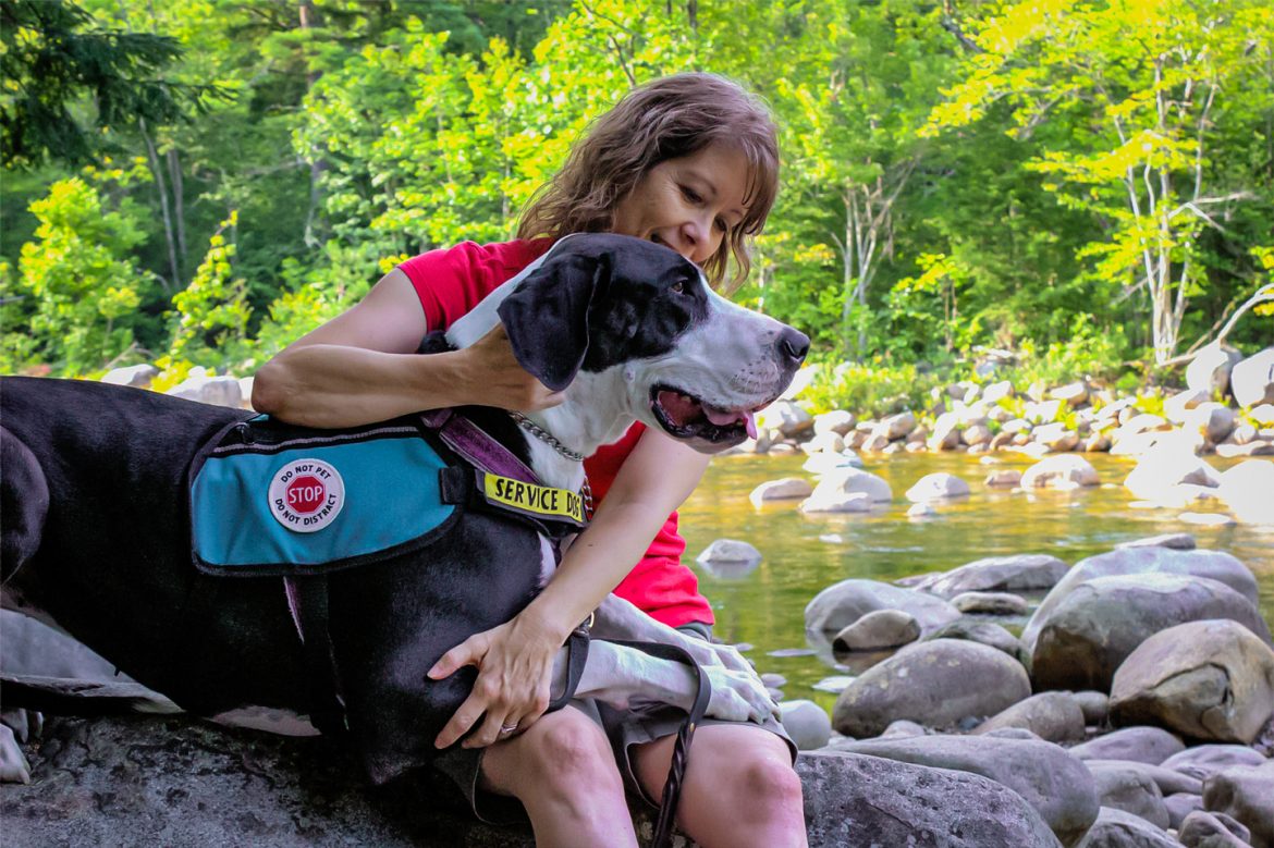 Service Dogs And RVing