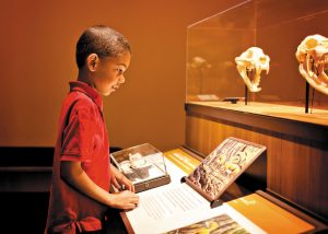 All ages can learn something new at the San Diego Natural History Museum.
