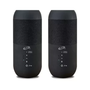 iLive Electronics Indoor/Outdoor Dual Bluetooth Speakers