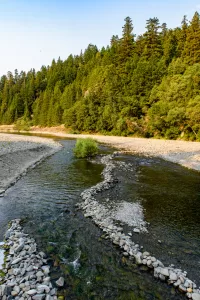 The South Fork of the Eel River is a great spot for catch-and-release fishing for salmon or steelhead in the winter.