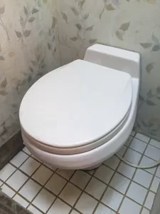 An RV toilet discharges waste directly into the black-water holding tank.