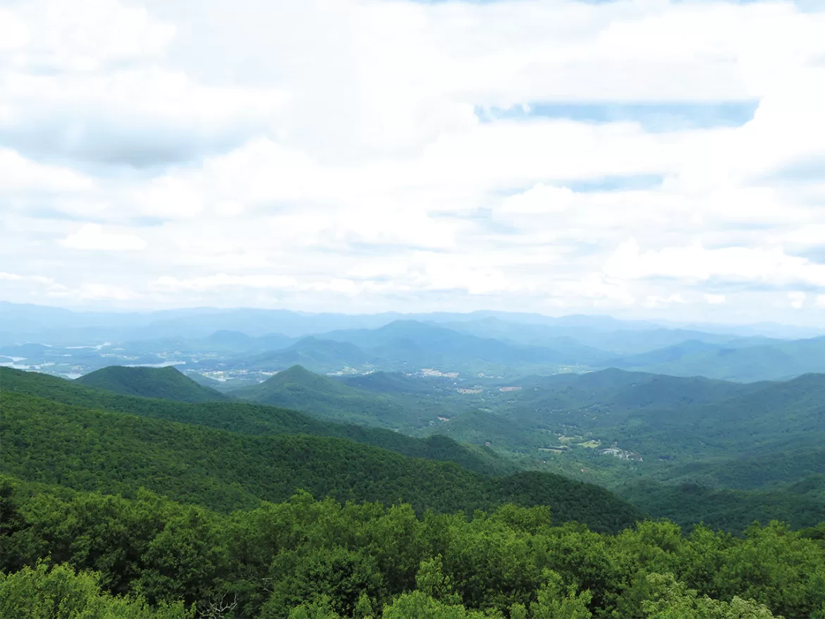 In The Heart Of North Georgia