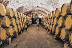 A tour of Stone Hill Winery includes a visit to the limestone cellars.