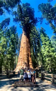 While RVing in California, Richard Diego’s family stood with the mighty General Sherman Tree, reputed as the world’s largest, in Sequoia and Kings Canyon national parks.