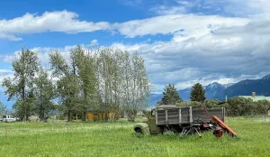 Janet and Edward Lees camped for a night at a friend’s ranch in Wilsall, Montana, last year, just two days before heavy rains ripped out roads and closed Yellowstone National Park. 