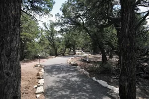 A paved walking trail branches off Cape Royal Road and travels to 8,803-foot-high Point Imperial.