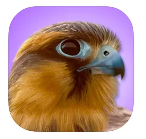 iBird Pro app