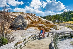 Explore Mammoth Hot Springs and stroll along the boardwalks above the hydrothermal features.