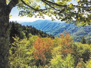 Great Smoky Mountains National Park is a family-friendly destination.
