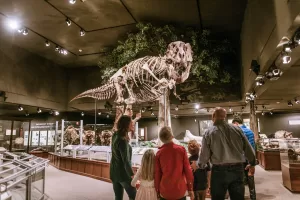 The Siebel Dinosaur Complex at the Museum of the Rockies contains a mounted Tyrannosaurus rex skeleton.