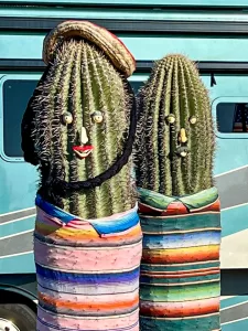 Bill and Kathy Blackman couldn’t resist stopping to admire these whimsical cactus people while visiting Picacho Peak State Park in southern Arizona. 