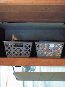 Organizer for DVDs in an RV