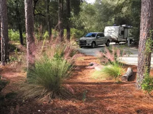 Whether you’re visiting Ocala for its natural wonders or man-made attractions, Silver Springs State Park is a good spot to park your RV.