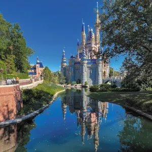 The Russells enjoyed a dream trip to Walt Disney World’s Magic Kingdom in Orlando, Florida.