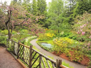 Thousands of plant species thrive in Reford Gardens.