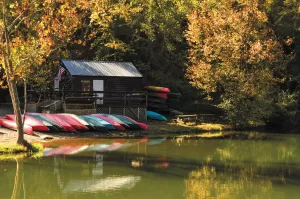 Kayak, canoe, and inner-tube rentals are available in the park. 