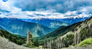 Hurricane Ridge in Olympic National Park offers stunning views.