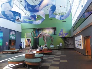 The Florida Museum of Natural History in Gainesville.