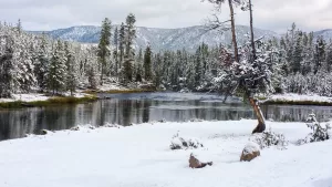 A wintry scene greeted Steve and Wendy Servilio when they visited Yellowstone National Park last September.