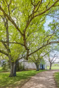 Texas Independence Hall at Washington-on-the-Brazos State Historic Site.