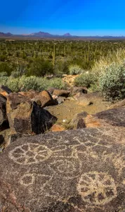 In Saguaro National Park, ancient petroglyphs carved into the rock are visible at Signal Hill.
