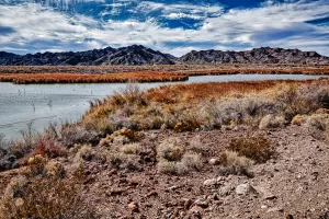 The Chocolate Mountains are visible from Imperial NWR. 