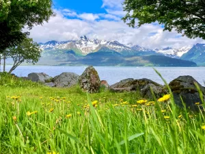 Iris Flores found the perfect vantage point from which to savor the mountains near Seward, Alaska.