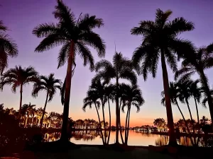 Randy Lust savored this twilight view from his site at Pelican Lake Motorcoach Resort in Naples, Florida, proclaiming, “Coach life is great!” 