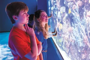 Get up close to over 300 species and 1,000 animals at the Shreveport Aquarium.