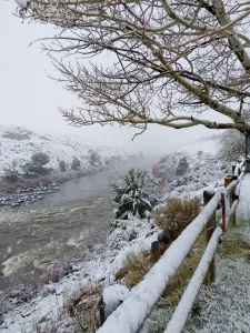 It snows year-round in Yellowstone.