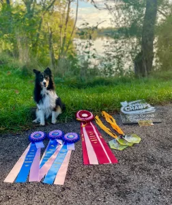 Breanna boasts many prizes, including a small-class grand championship win. 