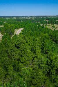 Near Halsey, the 222-square-mile Nebraska National Forest boasts the largest hand-planted forest in the western hemisphere.