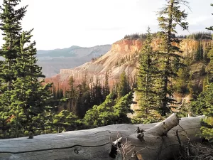 Michael Marenovic shared this photo of Cedar Breaks National Monument in Utah that he captured while on the trail along the rim. 