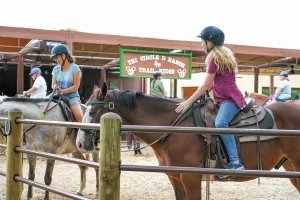 Over 90 horses call Tri-Circle-D Ranch their home.