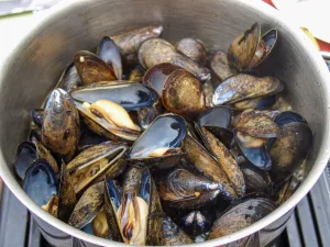 The province is known for catches from the sea, including mussels.