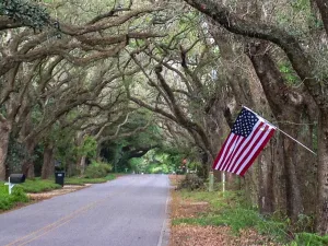. Live oak trees line Oak Street in Magnolia Springs, Alabama, in this photo submitted by Michael Fiehler.