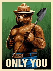 For 80 years, Smokey Bear has been teaching Americans about preventing wildfires.