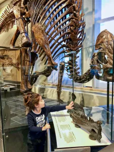 Canadian Museum of Nature