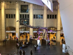 Royal Ontario Museum (ROM)