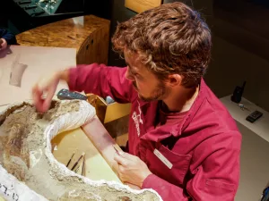 Royal Tyrrell Museum