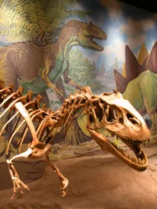 Utah Field House of Natural History State Park Museum