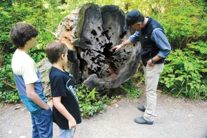 Worldschooling families share educational experiences wherever they roam. 