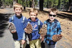 Exploring wooded areas can result in fun discoveries.