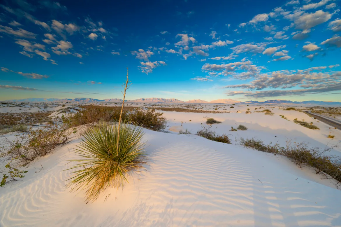 White Sands National Park