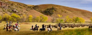 Custer State Park hosts the Buffalo Roundup each September.