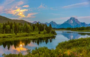 Diagonal and curved “leading lines” guide the eye toward the photo’s subject.