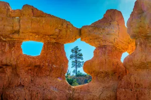 Placing one object between two others forms a triangle that enhances balance and visual interest in your photo. 