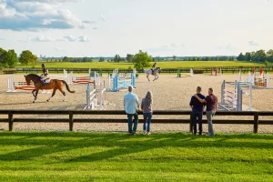 Lexington, Kentucky: The Horse Capital of the World